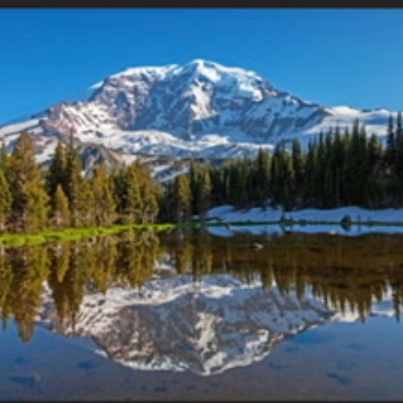 Meet your Posher, Mike - Picture 1 of 1